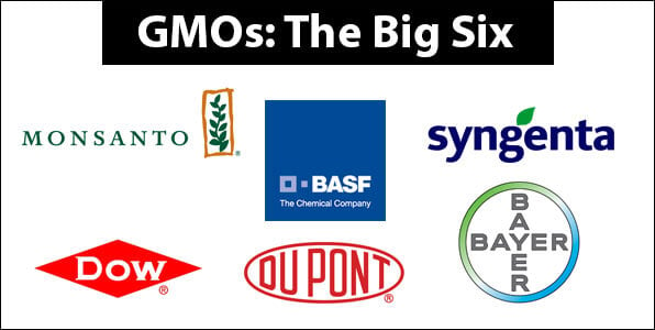 Bayer to Buy Monsanto, Creating a Massive Seeds and Pesticides Company -  Scientific American