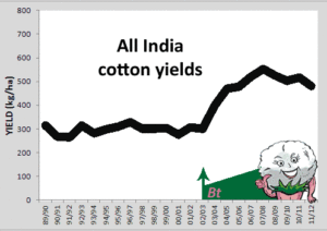 cotton-india1