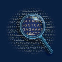 genetic code x