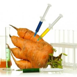 genetically modified food