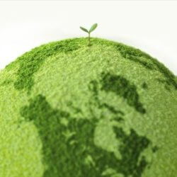 greenglobe