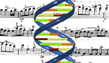 music genes