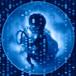 prenatal diagnostics