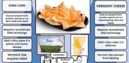 Nachos of Hypocrisy