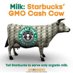 StarbucksCashCow a