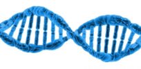 dna helix