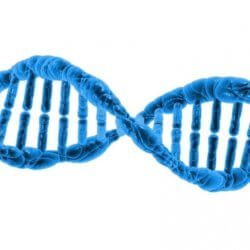 dna helix