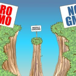 gmo signs