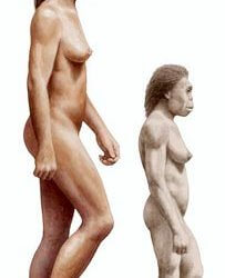 modern human comparison homo floresiensis