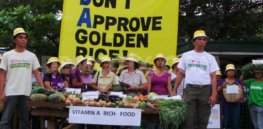 3 billion malnourished Asians ask Greenpeace: Why deny us vitamin enhanced rice?