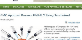 Screen Shot at PM