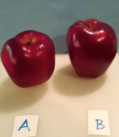 Study examines the benefits of organic apples versus conventional apples