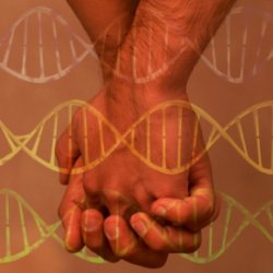 gay genes rect x