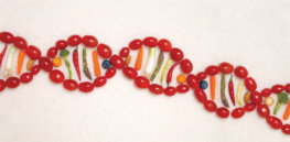 dna L