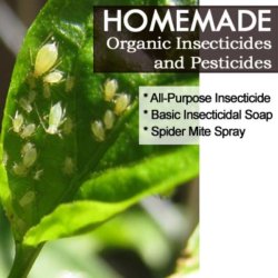 pesticides