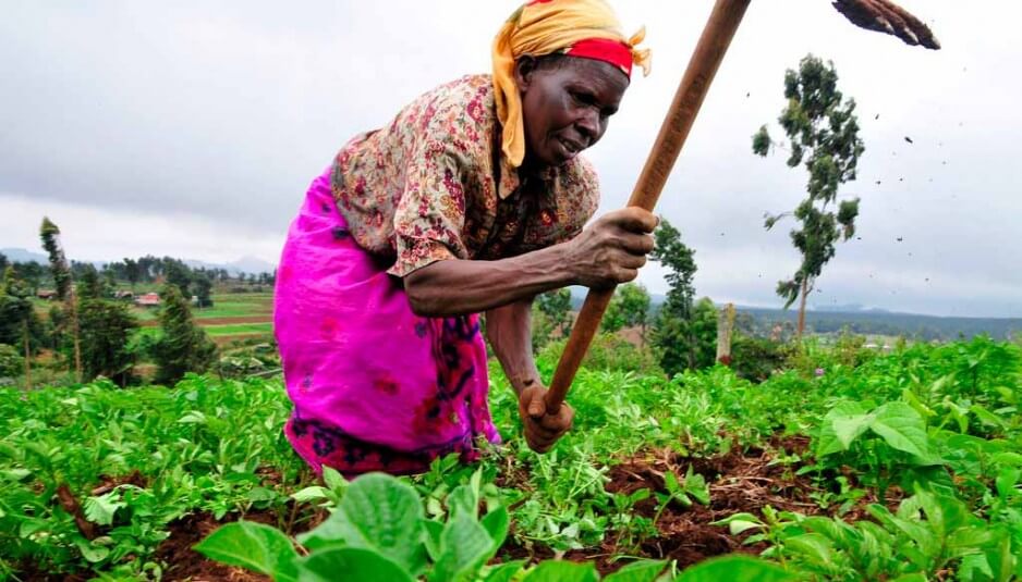 African farmer x
