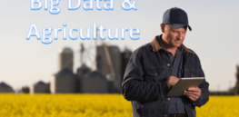 Big Data and Agriculture