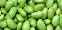 soybeans