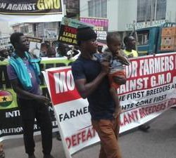 ghana anti gmo protest