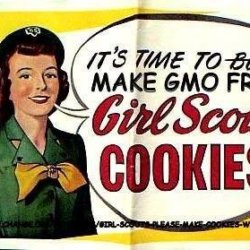 imgflip comgirlscoutnogmoimage