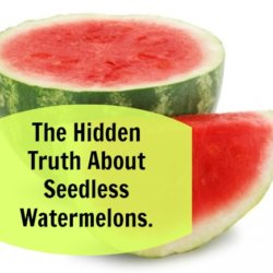 waterm