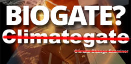 BioGate q