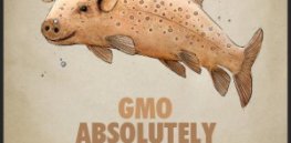 GMO Absolutely Dangerous FB BP x