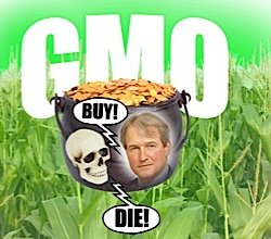 composite GMO scaled