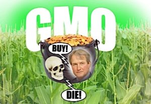 composite GMO scaled