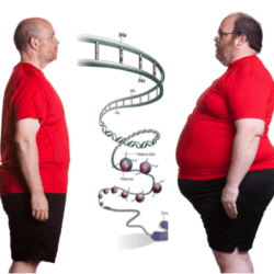 genbanner