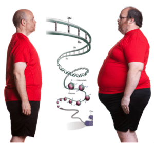 genbanner