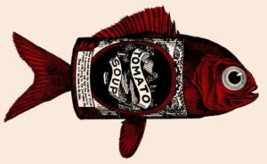 gmo-tomato-genes-in-fish-splicing