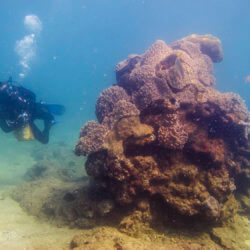 tauchen am gbr