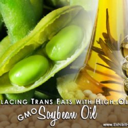GMO Soybean Oil Replace Trans Fat blog x