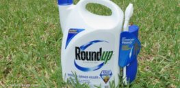 RoundUp Herbicide x