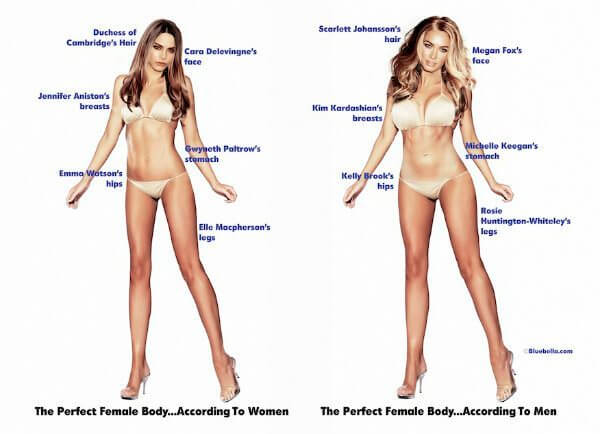 Why men like women's curves: How big a role has evolution played? - Genetic  Literacy Project