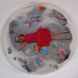Petri Dish Overhead No Lid