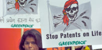 India as GMO battleground: Separating myths from science