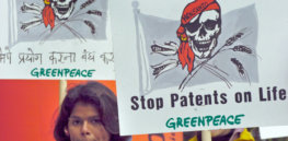 India as GMO battleground: Separating myths from science