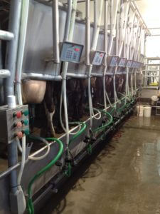 Our 3 year old, modern  milking parlor 