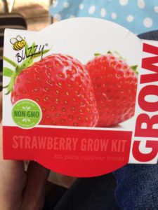 Buzzy strawberry kit