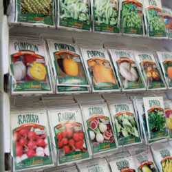seed rack close up