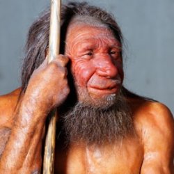 A model of a Neanderthal