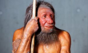 A model of a Neanderthal