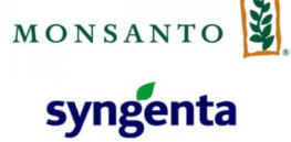 Monsanto Syngenta logo x