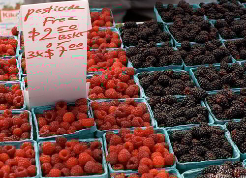 'Chemical free' organic industry's unacknowledged 'pesticide problem'