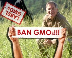GMO large x
