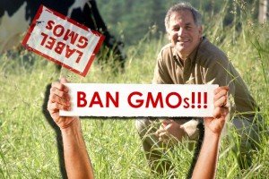 GMO large x