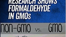 alarming new evidence GMOs Formaldehyde