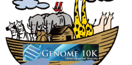 genome k
